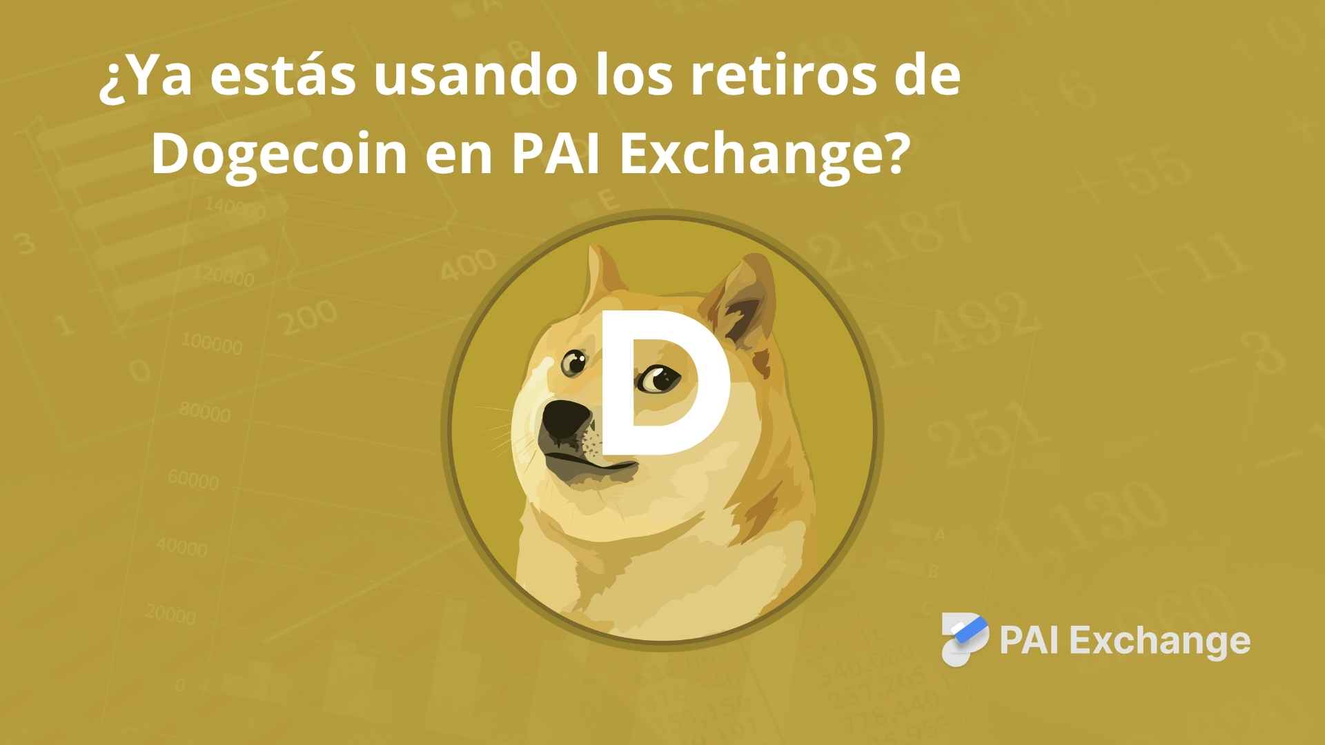 Dogecoin llega a los retiros en PAI Exchange